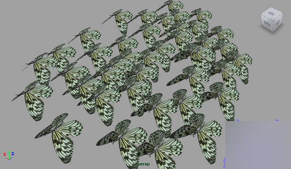 Maya2008制作一只逼真的蝴蝶 武林網