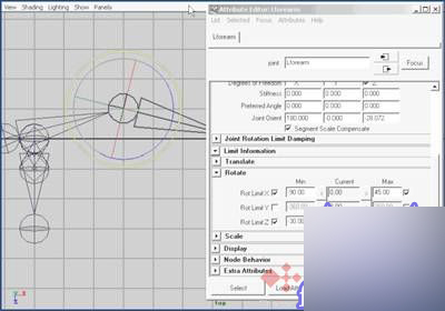 Maya 7.0 骨骼動畫-骨骼動力學 武林網 MAYA角色動畫教程