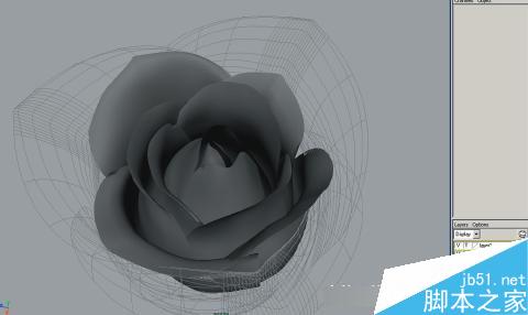 maya7.0玫瑰花建模教程 武林網 MAYA材質燈光