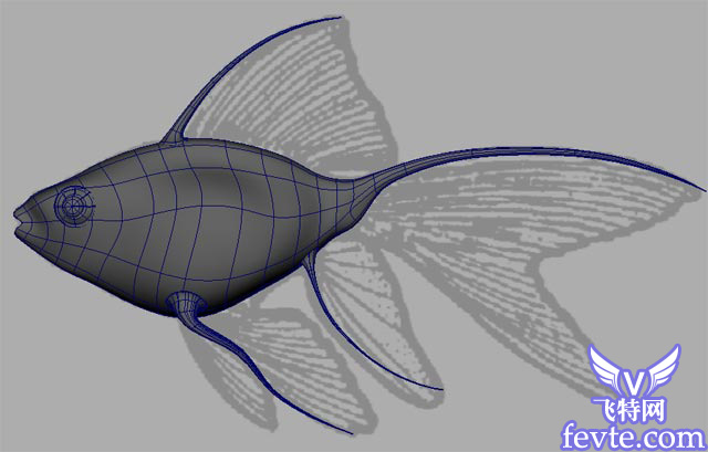 Maya 制作魚的模型 武林網 MAYA入門教程