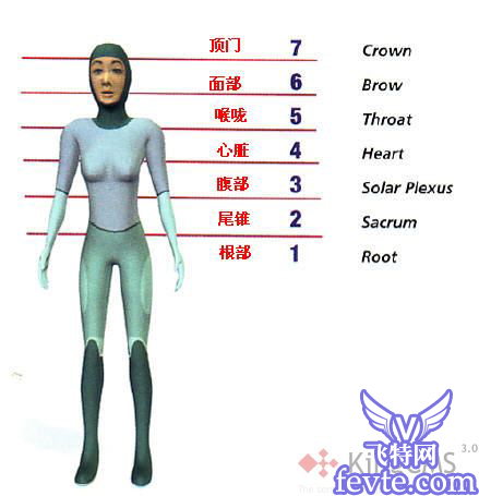 人格中心的動畫理論 武林網 MAYA入門教程