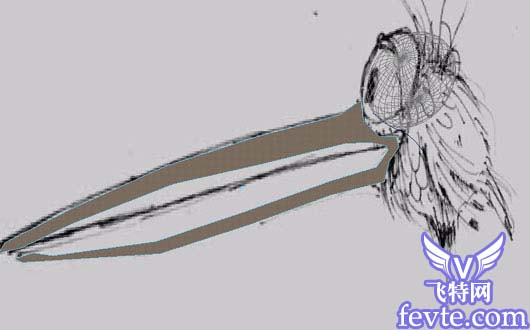 MAYA鳥類建模