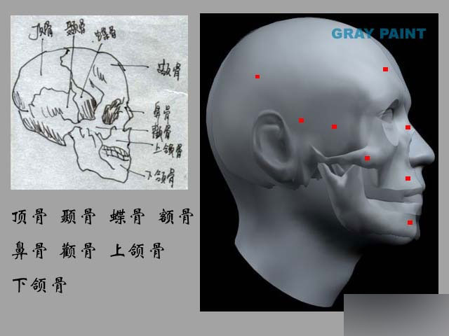 MAYA人物建模教程 人物造型 武林網 MAYA建模教程