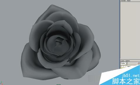 maya7.0玫瑰花建模教程 武林網 MAYA材質燈光