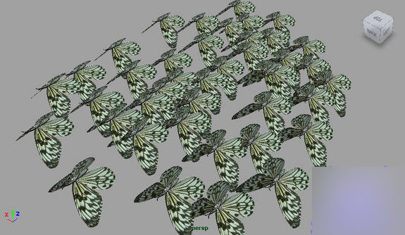 MAYA Instancers 制作蝴蝶群舞 武林網 MAYA角色動畫教程