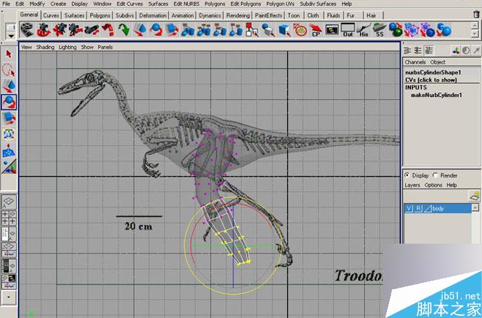 MAYA 7.0恐龍建模教程 武林網 MAYA建模教程