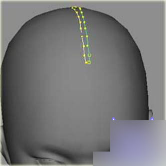 Maya PaintEffects 制作頭發 武林網 MAYA角色動畫教程
