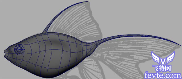 Maya 制作魚的模型 武林網 MAYA入門教程