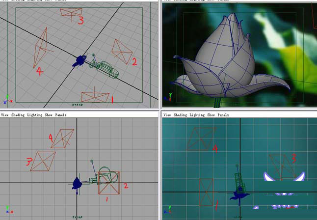 MAYA7.0制作荷花材質教程 武林網 MAYA材質燈光