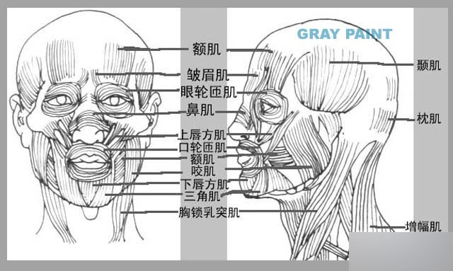 MAYA人物建模教程 人物造型 武林網 MAYA建模教程