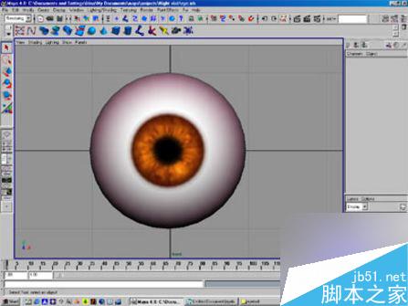 用MAYA快速制作眼球的方法 武林網 MAYA材質燈光