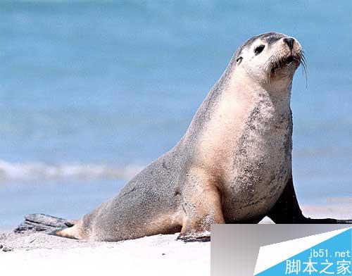 maya完美表現自然光 武林網 maya燈光教程