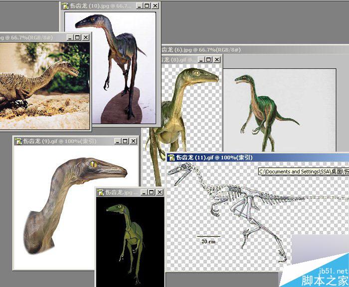 MAYA 7.0恐龍建模教程 武林網 MAYA建模教程