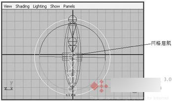 Maya 7.0 骨骼動畫-屈肌功能 武林網 MAYA角色動畫教程