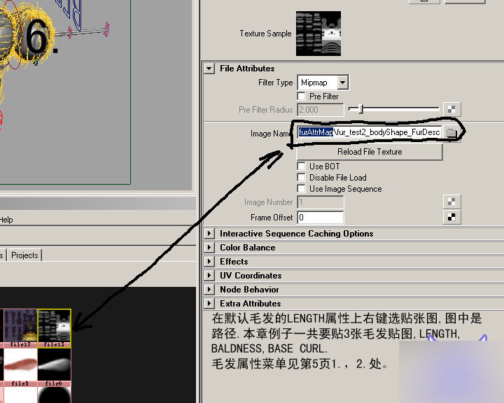 MAYA FUR制作蜜蜂的體毛 武林網 MAYA角色動畫教程