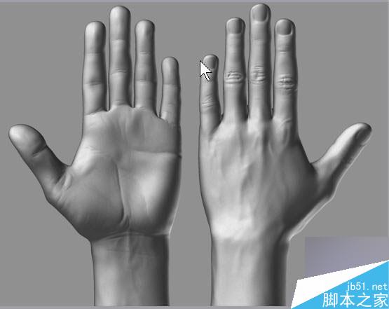 Maya結合Zbrush共創高精度手掌模型 武林網 MAYA建模教程