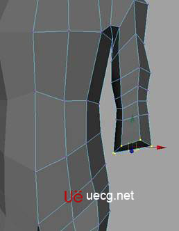 MAYA建模教程：人體軀干的建立