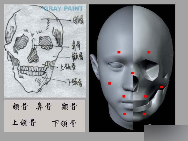 MAYA人物建模教程 人物造型 武林網 MAYA建模教程