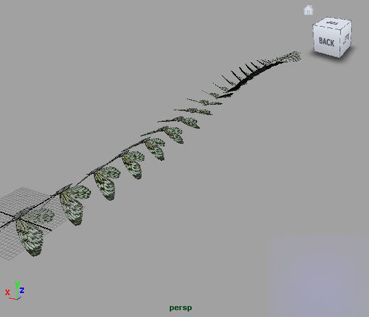 Maya2008制作一只逼真的蝴蝶 武林網