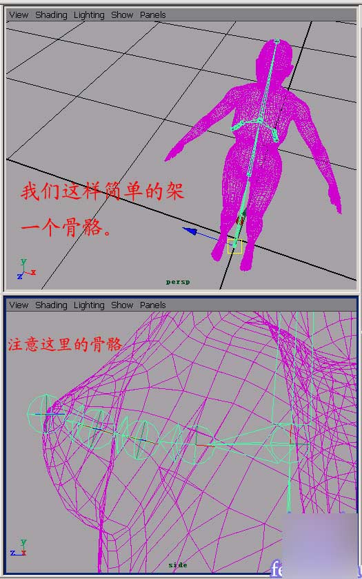 Maya 6.0 新功能之Hair 武林網 MAYA角色動畫教程