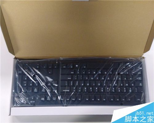 羅技K120鍵盤 開箱評測