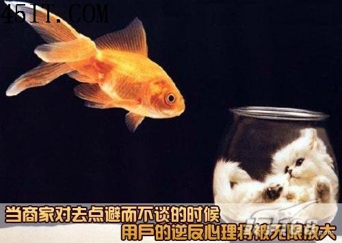 比例之爭仍繼續16：9液晶緣何遭遇千夫指(5)