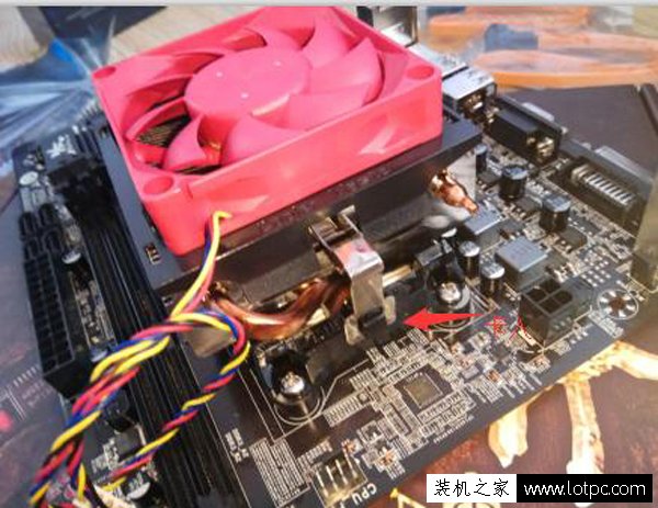 AMD CPU及CPU散熱器的安裝方法 AMD的處理器與風扇安裝圖解教程、