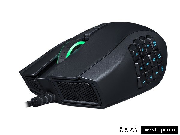幻彩那伽梵蛇！