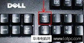 臺式電腦鍵盤開啟小鍵盤方法 筆記本切換小鍵盤