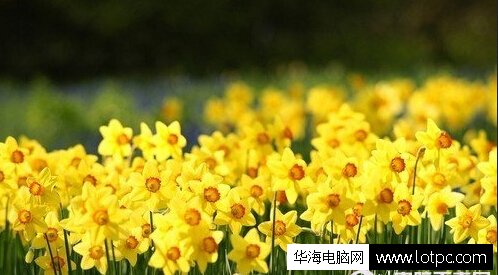 電腦族如何保護眼睛
