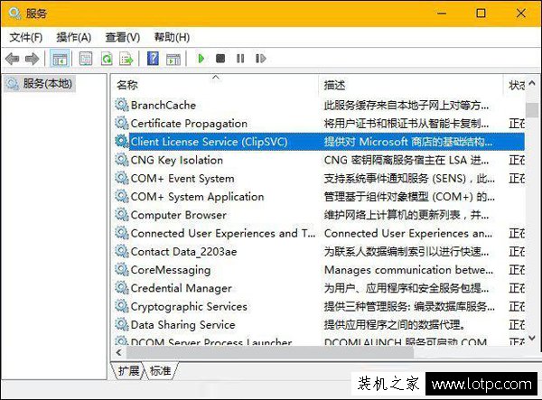 Wsappx是什么進程？Win10系統中的wsappx進程知識