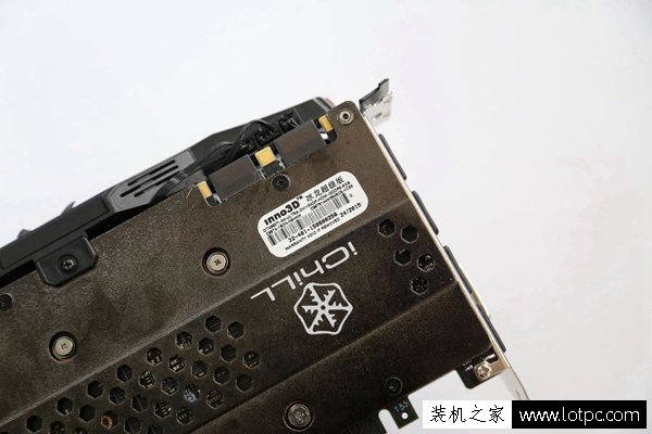 武林網