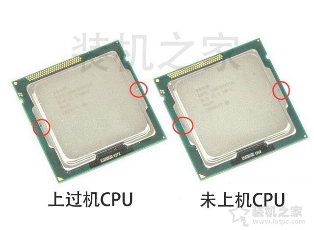 intel中文盒裝和英文盒裝、散片CPU的區別對比科普 裝機值得一看！