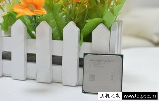AMD新速龍四核840評測 武林網