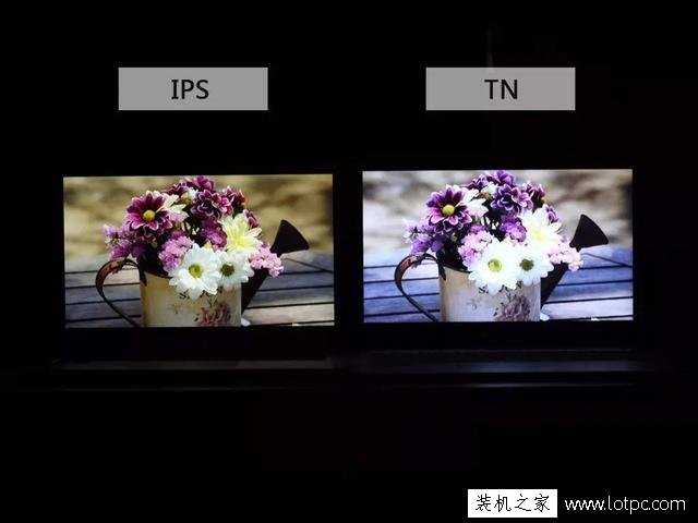 筆記本電腦IPS屏和TN屏有什么區別？IPS屏和TN屏哪個好？