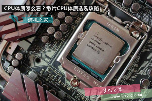 cpu體質是什么意思 CPU體質怎么看