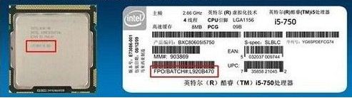 cpu序列號