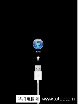 iphone怎么退出dfu恢復模式