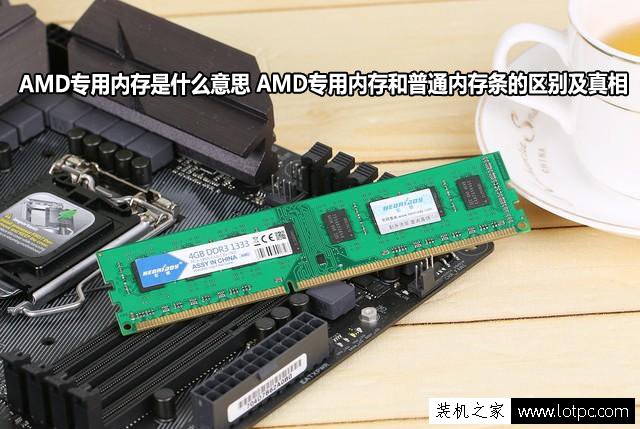 AMD專用內存是什么意思 AMD專用內存和普通內存條的區別及真相