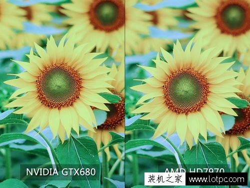 買電腦時，電腦銷售口中的A卡與N卡到底是什么意思？