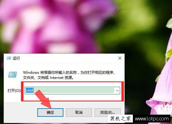 如何查詢網站ip地址 怎樣查看網站的ip地址方法