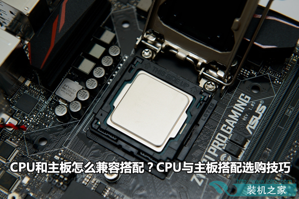 CPU和主板怎么兼容搭配？CPU與主板搭配選購技巧
