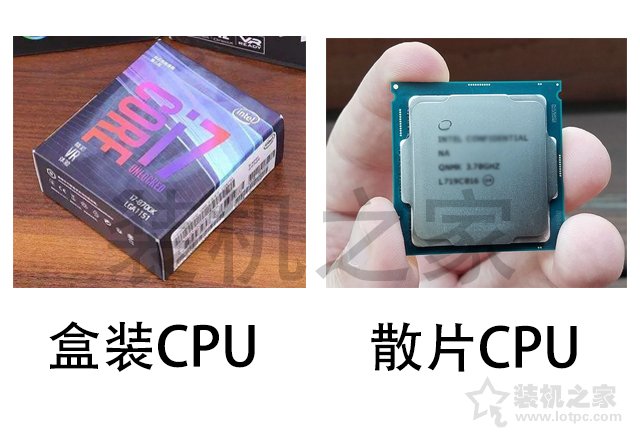 intel中文盒裝和英文盒裝、散片CPU的區別對比科普 裝機值得一看！