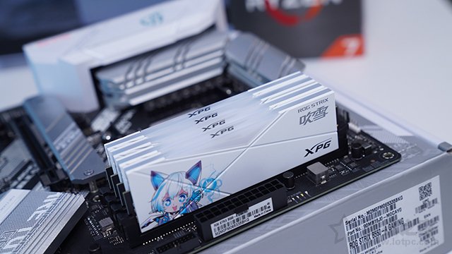 威剛也玩全家桶！R7 5800X配RTX3070全能型組裝機配置方案