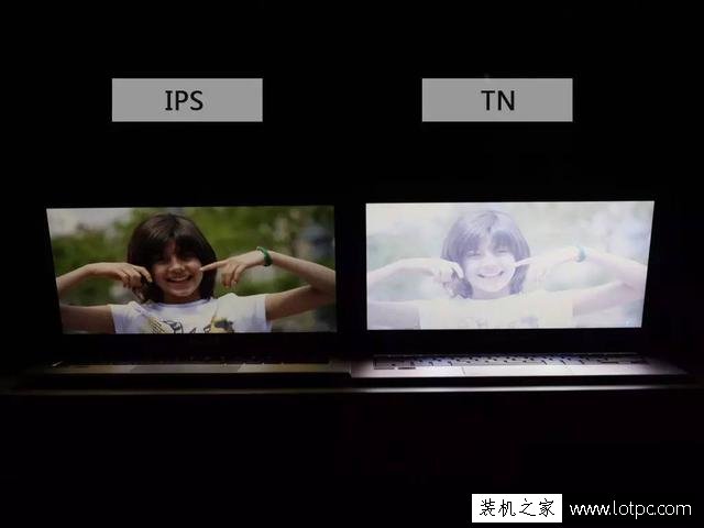 筆記本電腦IPS屏和TN屏有什么區別？IPS屏和TN屏哪個好？