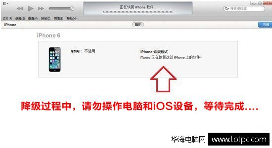 蘋果iphone、ipad