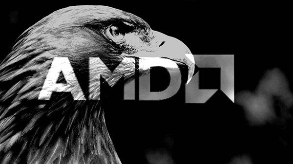 AMD的7納米 APU曝光 代號為Grey Hawk