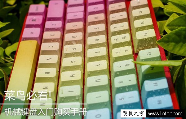 菜鳥必讀:機械鍵盤入門選購指南