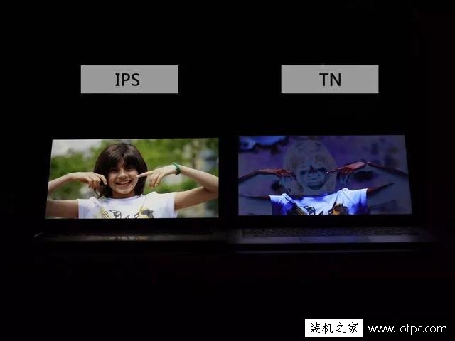 筆記本電腦IPS屏和TN屏有什么區別？IPS屏和TN屏哪個好？