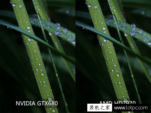 買電腦時，電腦銷售口中的A卡與N卡到底是什么意思？